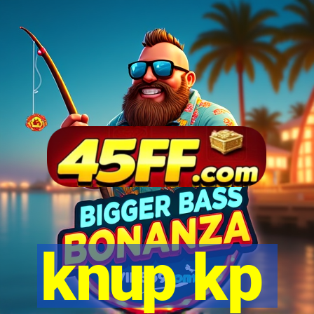 knup kp-t89 driver